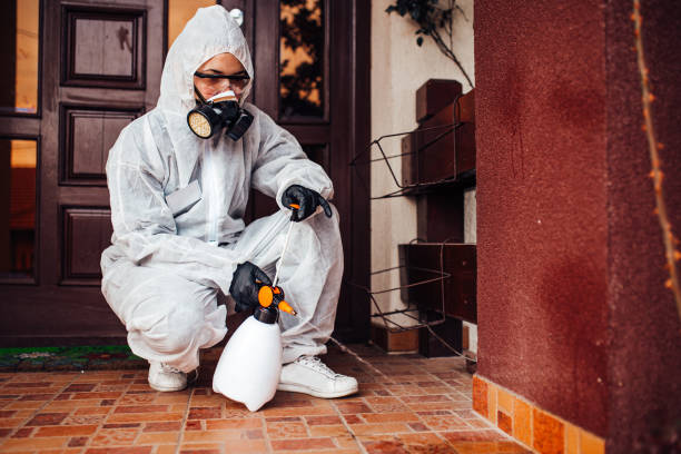 Attic and Crawl Space Rodent Treatment in Island Heights