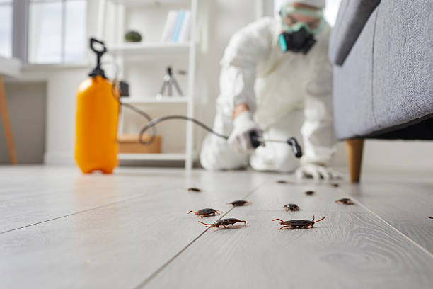 Commercial Rodent Management in Island Heights